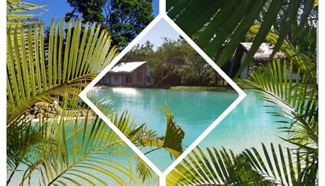 LES CABANES DU PETIT LAC (Dolega) - Lodging Reviews & Photos - Tripadvisor