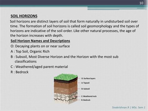 Image result for Forensic Soil Collection