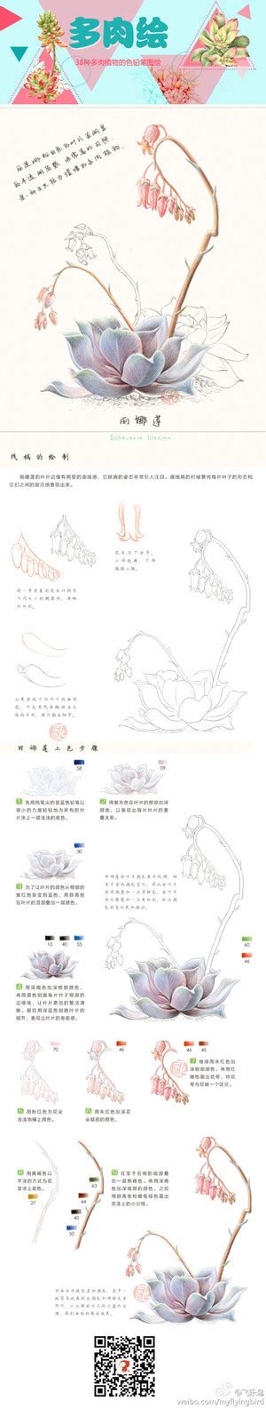 飞乐鸟绘画……_来自小太阳924的图片分享-堆糖 | Flower drawing, Color pencil drawing, Color ...