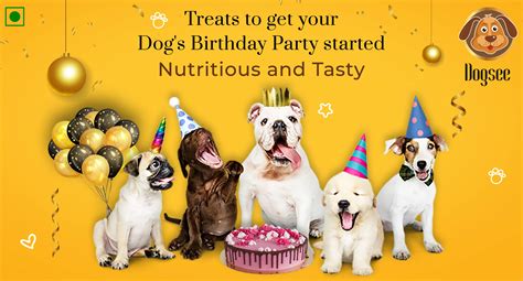 Treats to get your Dog's Birthday Party started | Dogsee