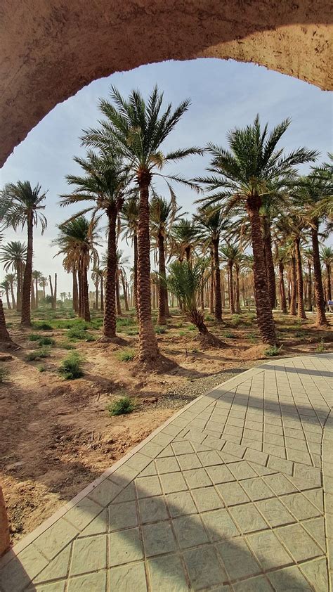 LUTSTAR ECOCAMP (Shahdad) - Lodging Reviews & Photos - Tripadvisor