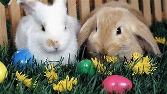 Image result for Free Happy Spring Pics with Bunnies