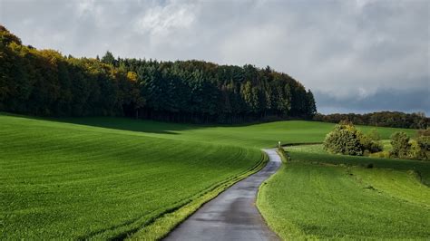 Wallpaper 2560x1440 Nature