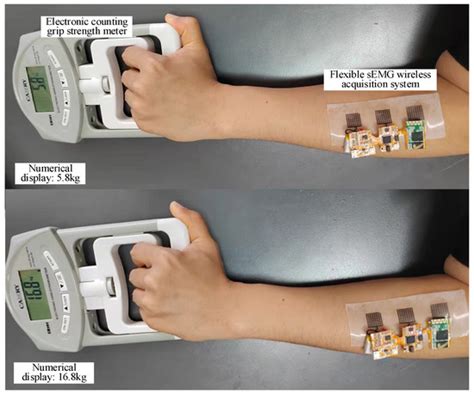 Study on Flexible sEMG Acquisition System and Its Application in Muscle ...