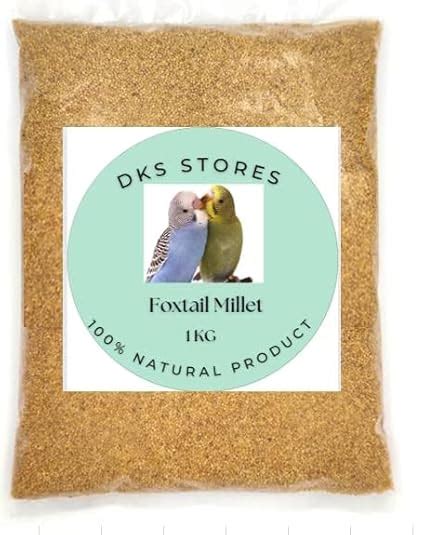 Buy Foxtail Millet (Kangni or Thinai), Bird Food for All Life Stages ...