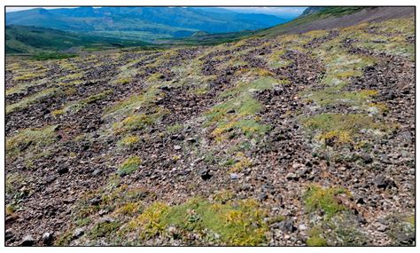 Mapping Earth Hummocks in Daisetsuzan National Park in Japan Using UAV ...