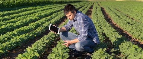 Plant Scientist 的图像结果