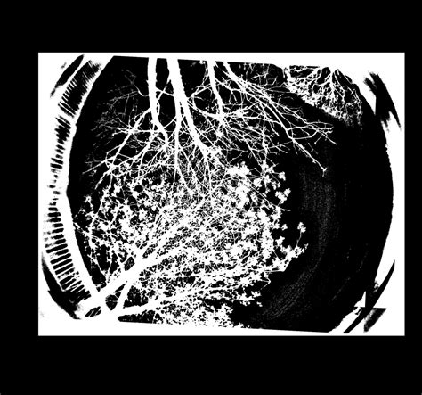 Image Processing Using R 的图像结果