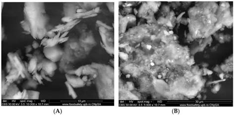 Alginate–Moroccan Clay, New Bio-Nanocomposite for Removal of H2PO4− ...