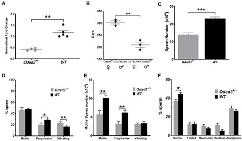 The Odad3 Gene Is Necessary for Spermatozoa Development and Male ...