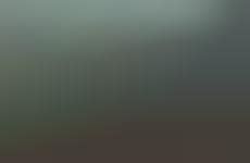 15 Commemorative Campaign Examples