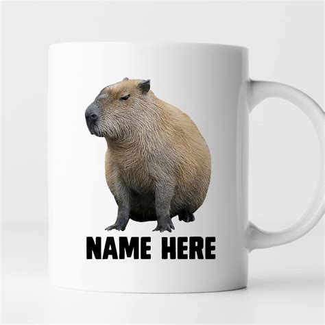Buy VIGAT Personalized Capybara Coffee Mug, Funny Capybara Meme Mug ...