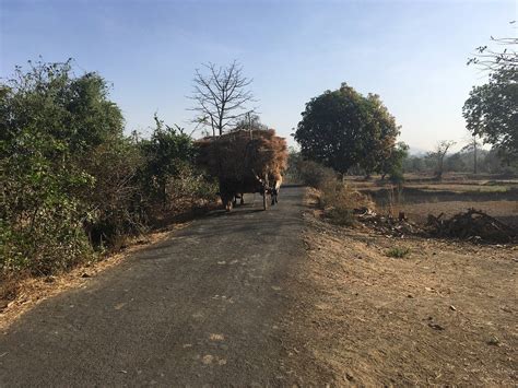 GARAWA FARM (Dahanu, Maharashtra) - Guesthouse Reviews & Photos ...