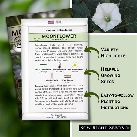 Moonflower Seeds for Planting | Large White Night Time Blooms - Sow ...