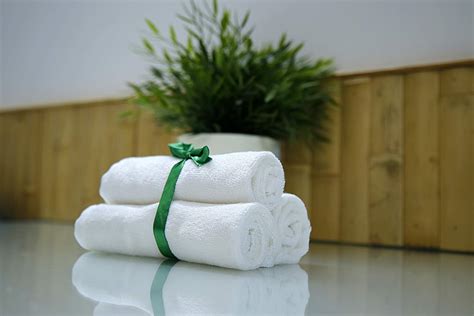 BAMBOO GREENS 100% Bamboo Face Towels Set of 3 (White) Ultra Soft ...