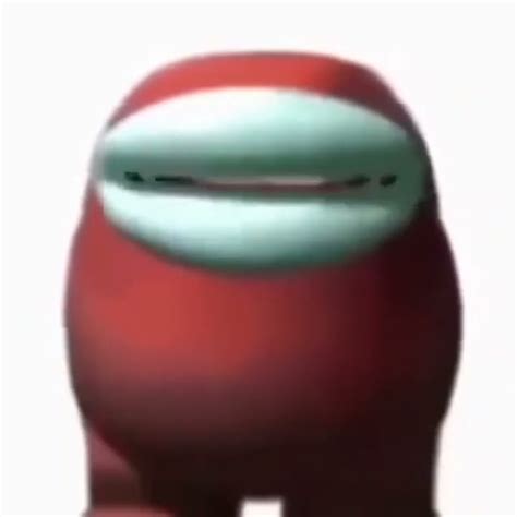 Image result for Pipapi