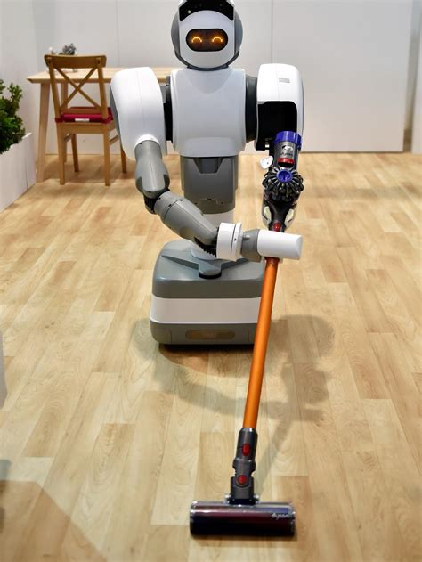 Domestic Robot 的图像结果