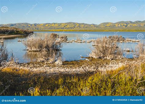 Soda Lake,the Largest Remaining Natural Alkali Wetland In Southern ...
