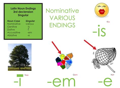 Suzanne Shares | Cycle 1 Week 7: Science, Latin, History Statement ...