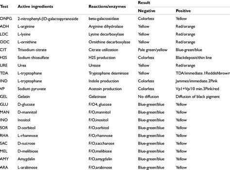 Image result for API Biochemical Test Kit
