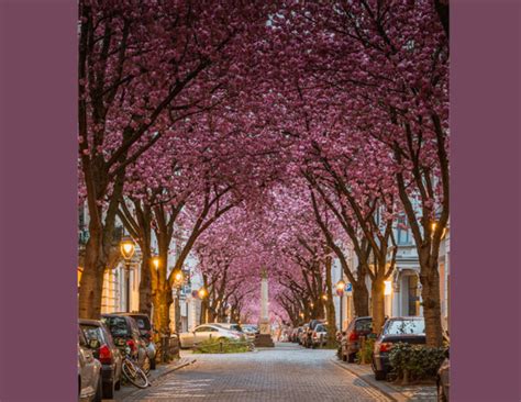 5 Beautiful Streets to Walk in London - lifeberrys.com