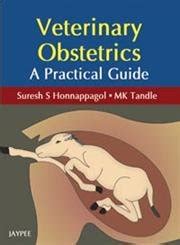 Buy Veterinary Obstetrics: A Practical Guide (POD) Book Online at Low ...