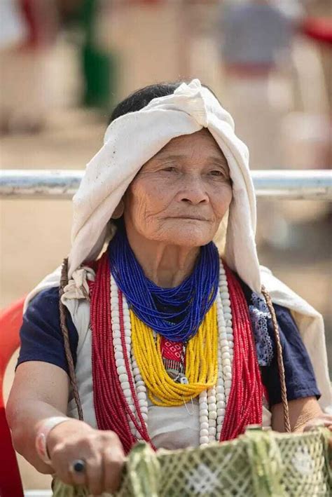 Roots in Transition: The Nyishi Journey from Mountains to Valleys ...