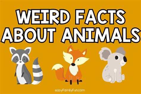 100 Weird Facts About Animals for Kids
