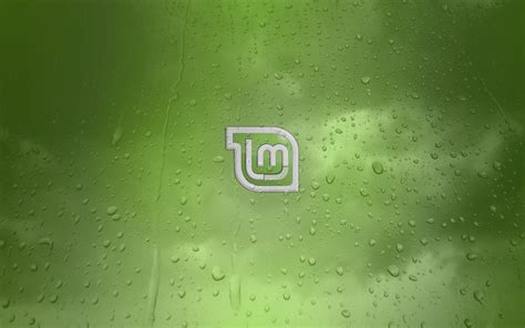 Image result for Linux Mint CPU Background