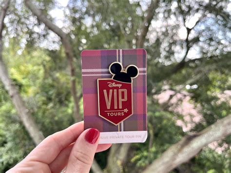 Disney Private VIP Tours — Castles & Carpools
