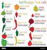 Facts And Food: The Scoville Scale, Explained, 43% OFF