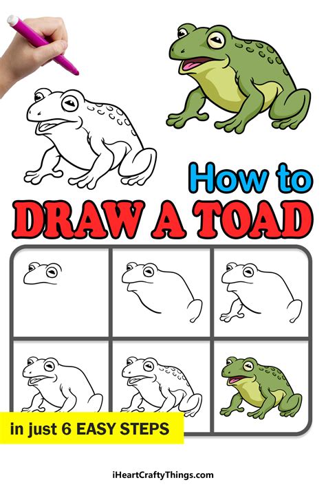 Image result for Toad Basic Drawing