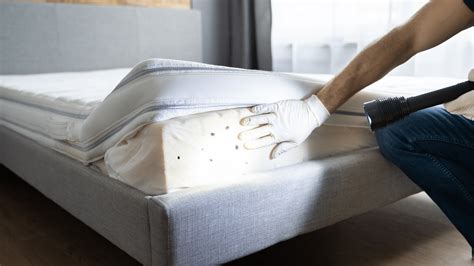 Do Bed Bugs Jump? - All South Pest Control