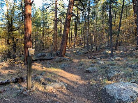 Hiking Bill Williams Mountain - SoCal Hiker