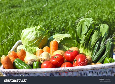 Produce 的图像结果