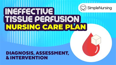 Ineffective Tissue Perfusion Nursing Diagnosis and Care Plan ...