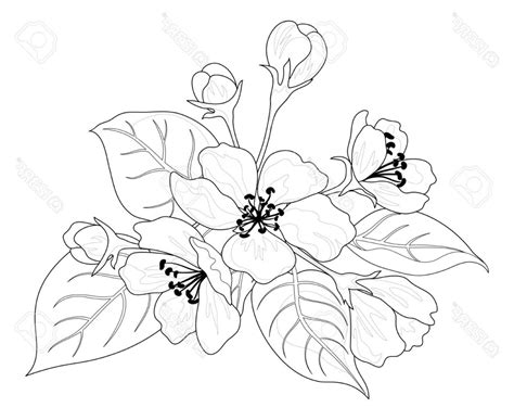 Image result for Spring Drawing