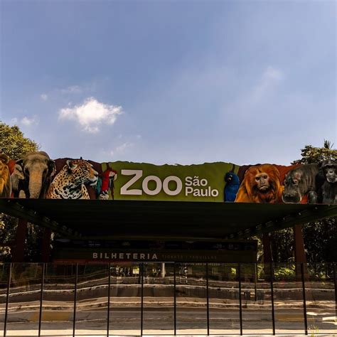 ZOOLOGICO DE SAO PAULO Guide (2026) All You Need to Know BEFORE You Go ...