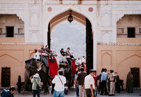 Elephant Safari In Jim Corbett - Book Now @ Rs.880 (12% off)