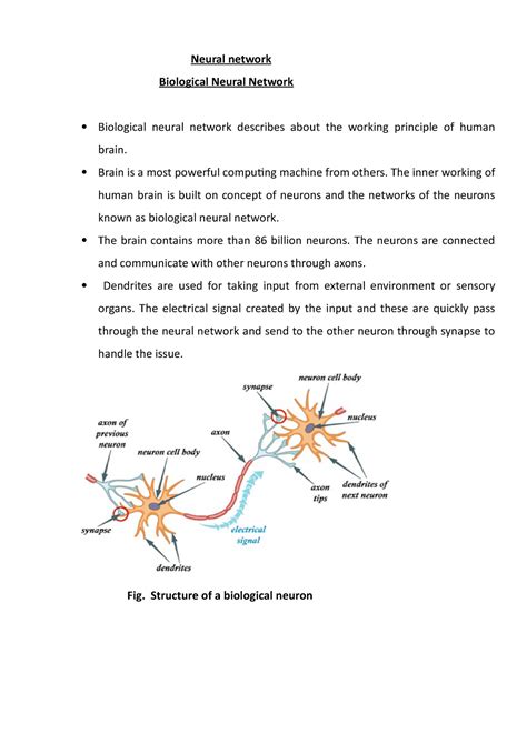 Biological Neural Network - Brain is a most powerful computing machine ...