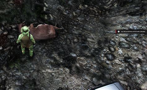 Image result for Qbcore Hunting Script Fivem