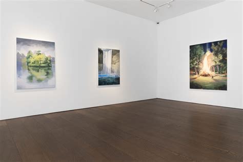 Tai Shan Schierenberg | Figuring the Landscape | Flowers Gallery