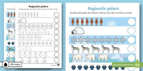 Regiunile polare – Fișă de lucru matematică