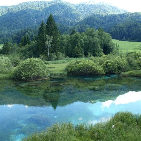 Zelenci Nature Reserve (Kranjska Gora) - All You Need to Know BEFORE You Go