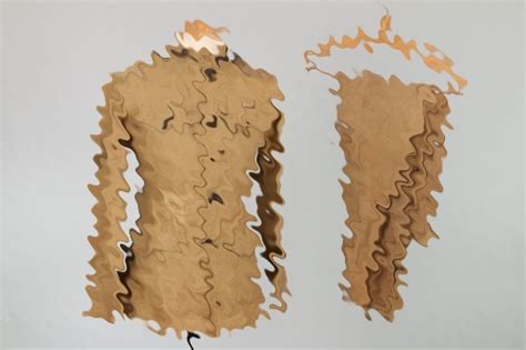 ratisbon's | WW1 US uniform grouping 79th Infantry Division | DISCOVER ...