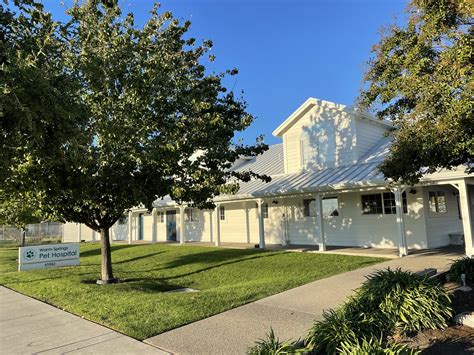 Warm Springs Pet Hospital Fremont at Thomas Lujan blog