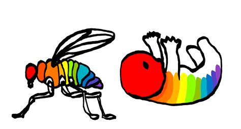 Evidence of Evolution 的图像结果