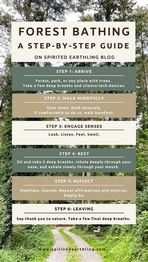 Forest Bathing Step-by-step Guide