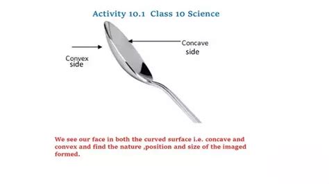 Image result for Activity 1.2 Class 10 Science