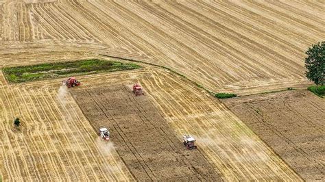 全国“三夏”麦收进度过半，如何科学减少机收损失？_小麦_收获_作业